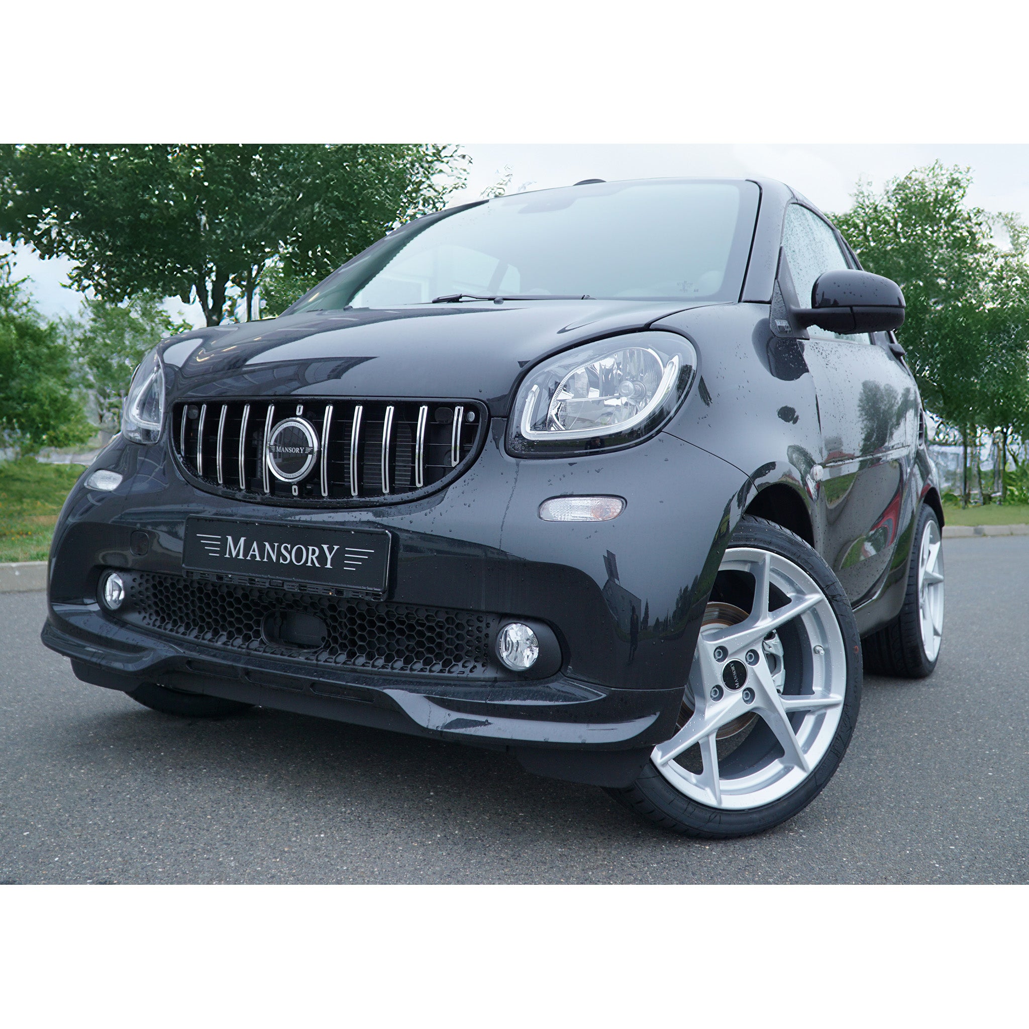 MANSORY Smart Fortwo Cabrio Frontgrillmaske