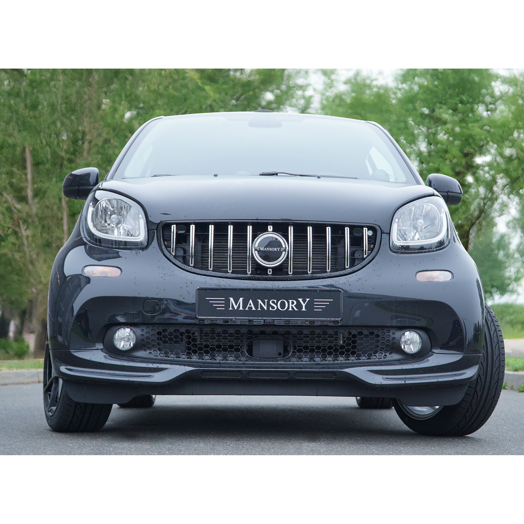 MANSORY Smart Fortwo Cabrio Frontgrillmaske