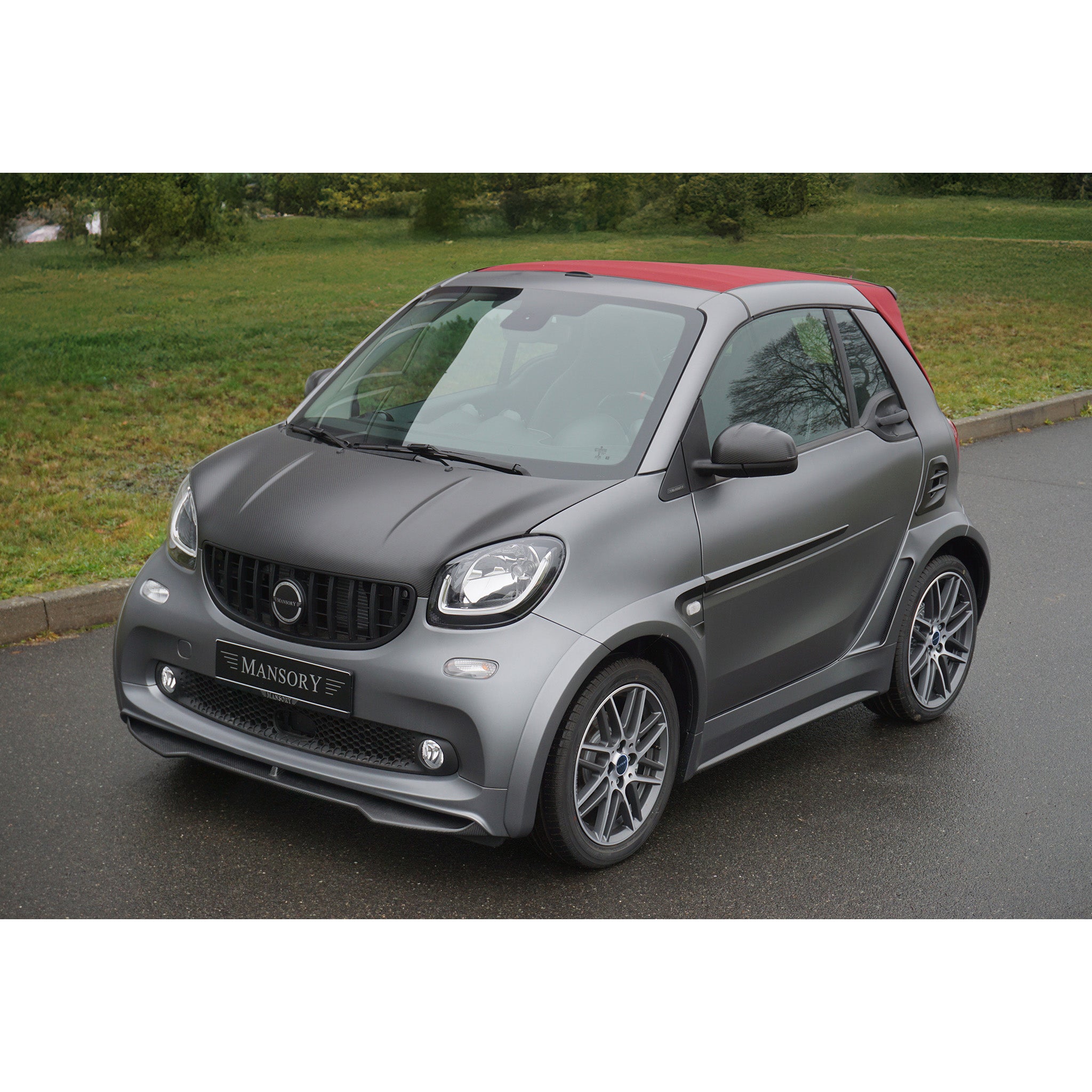 Máscara de parrilla delantera MANSORY Smart Fortwo Cabrio