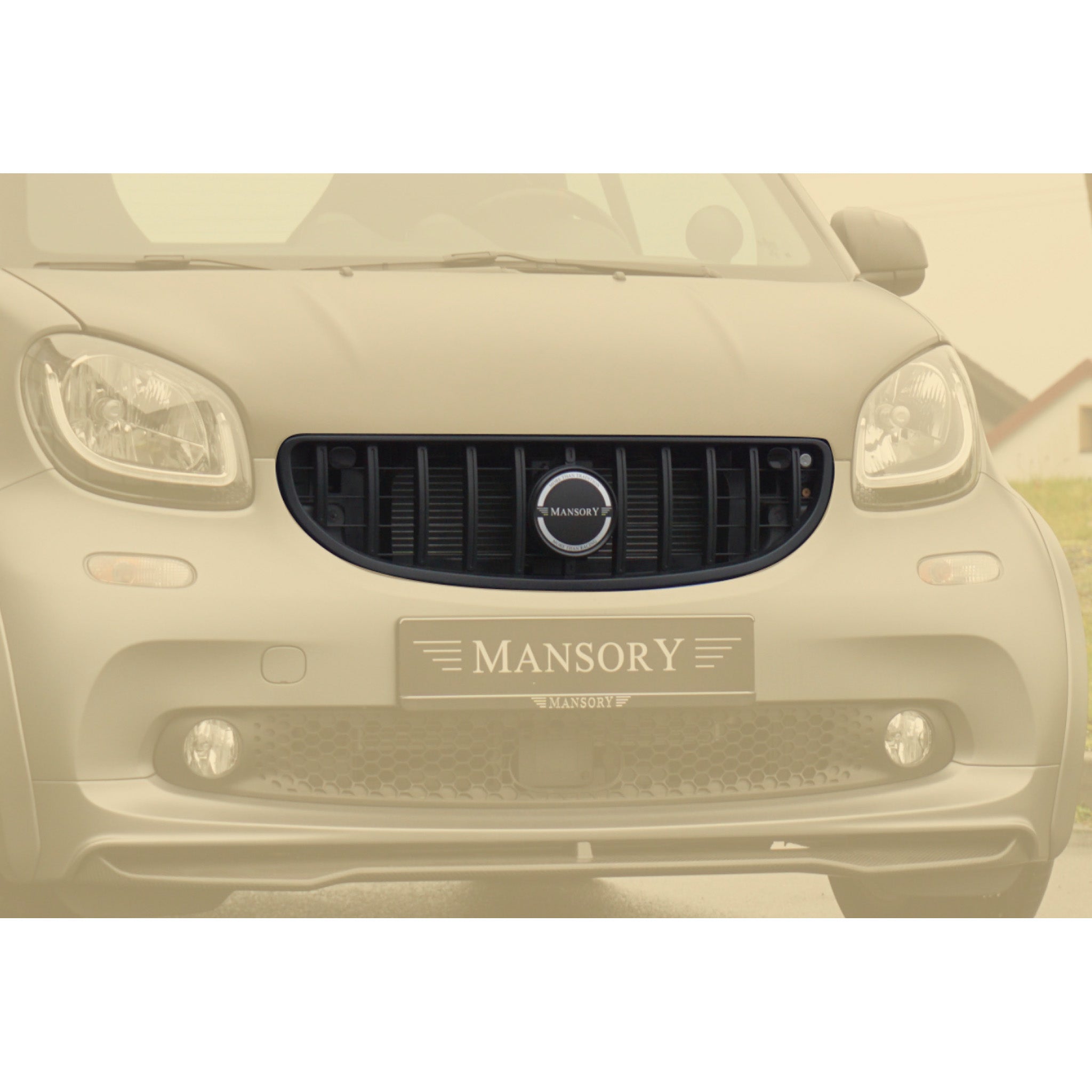 Máscara de parrilla delantera MANSORY Smart Fortwo Cabrio