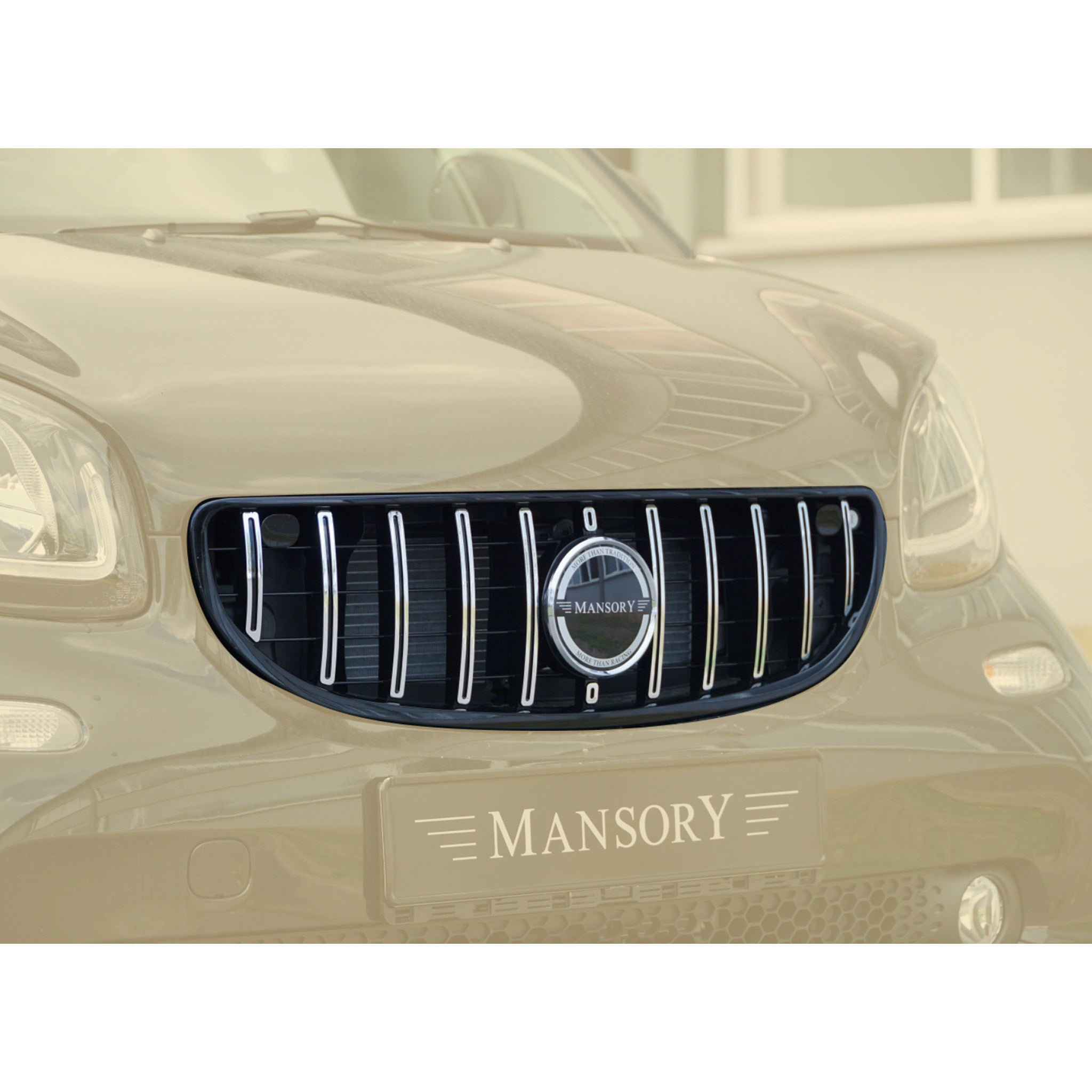 MANSORY Smart Fortwo Cabrio Frontgrillmaske